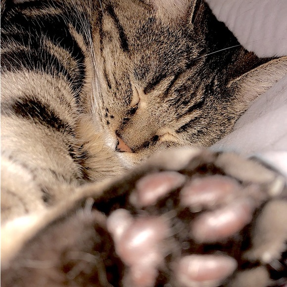 ✨JAYVEX IS LIVE✨: NOTIFICATION - Picture 13 of 13